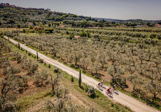 Tuscany Trail