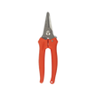 ARANCIO