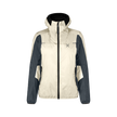 SHELL/ ANTRACITE