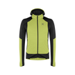 SUNNY LIME