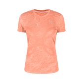 MELON/LIGHT ROSE